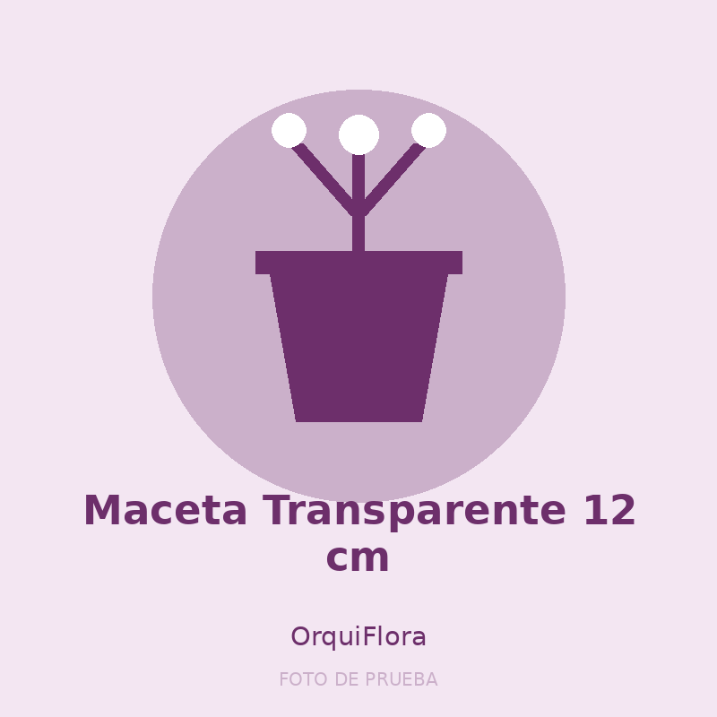 Maceta Transparente 12 cm