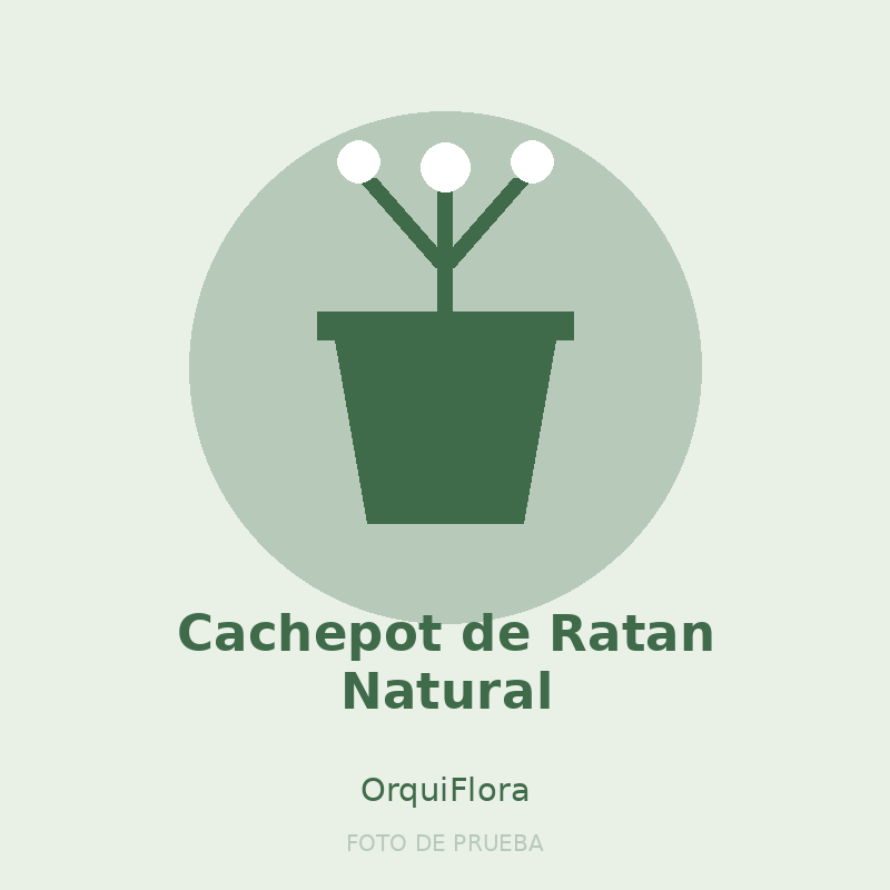 Cachepot de Ratan Natural