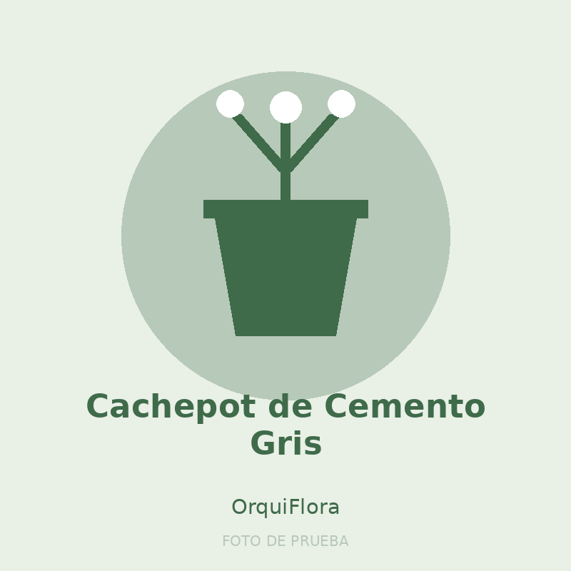 Cachepot de Cemento Gris