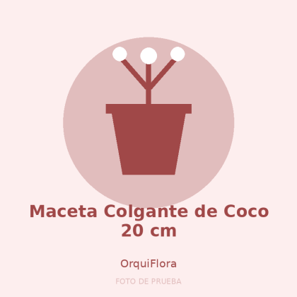 Maceta Colgante de Coco 20 cm