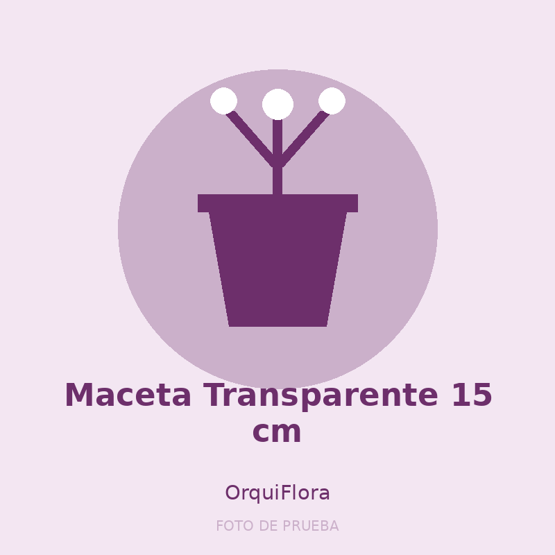 Maceta Transparente 15 cm