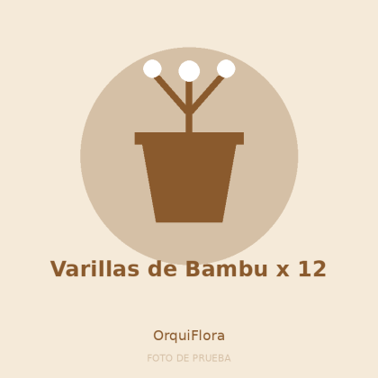 Varillas de Bambu x 12