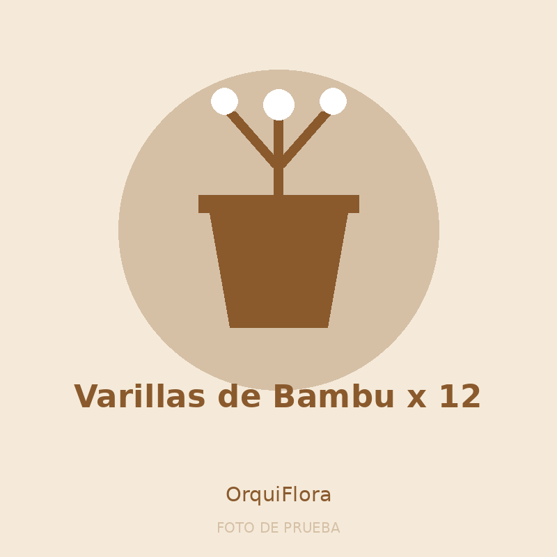 Varillas de Bambu x 12