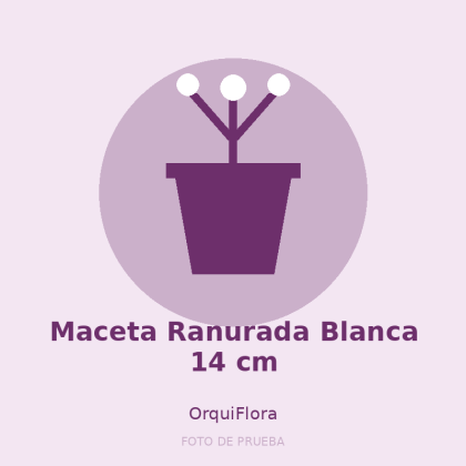 Maceta Ranurada Blanca 14 cm