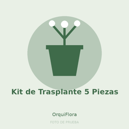 Kit de Trasplante 5 Piezas