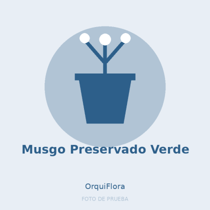 Musgo Preservado Verde