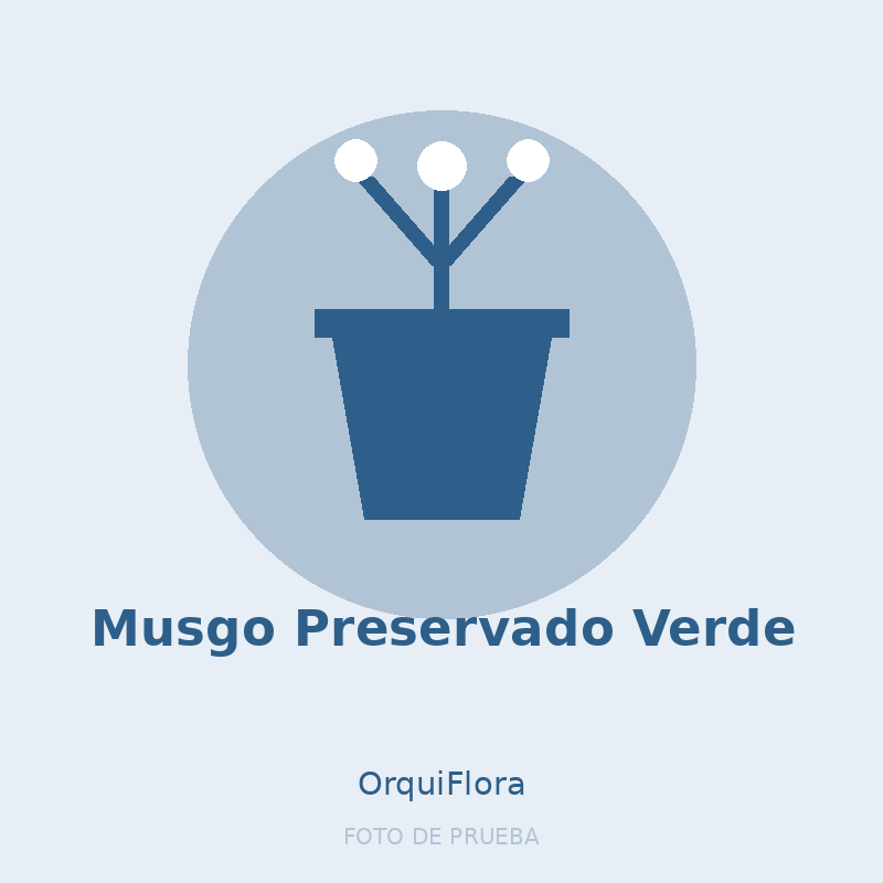 Musgo Preservado Verde