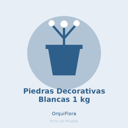 Piedras Decorativas Blancas 1 kg