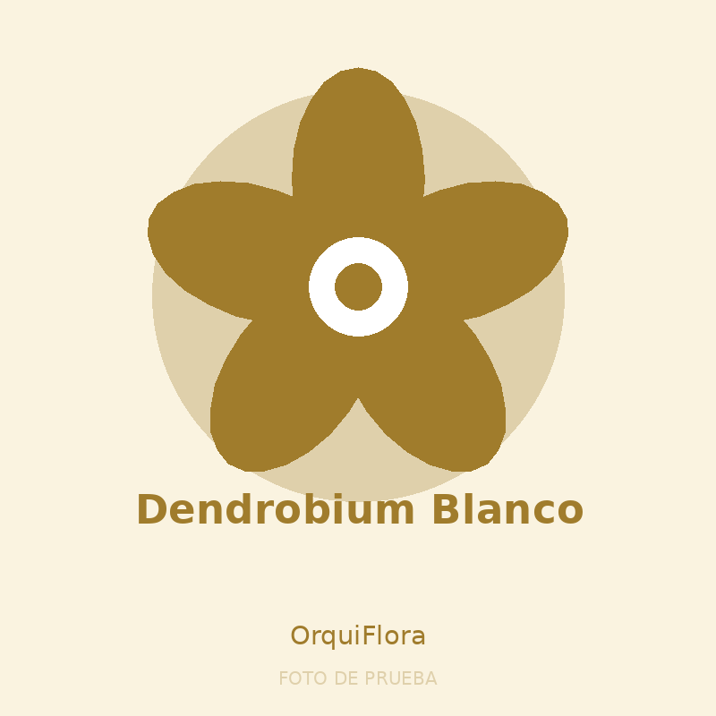 Dendrobium Blanco