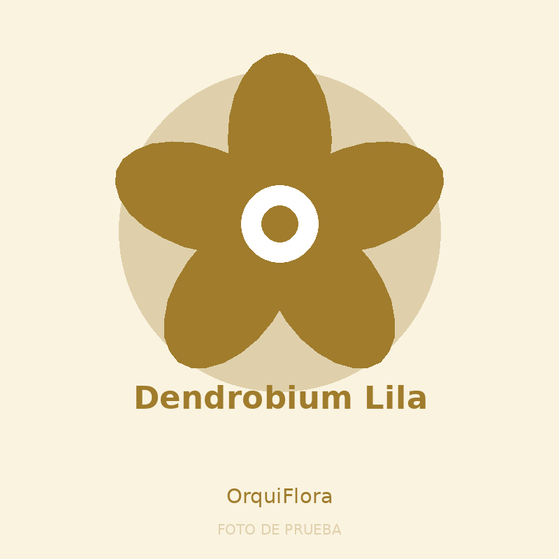 Dendrobium Lila