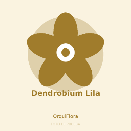 Dendrobium Lila
