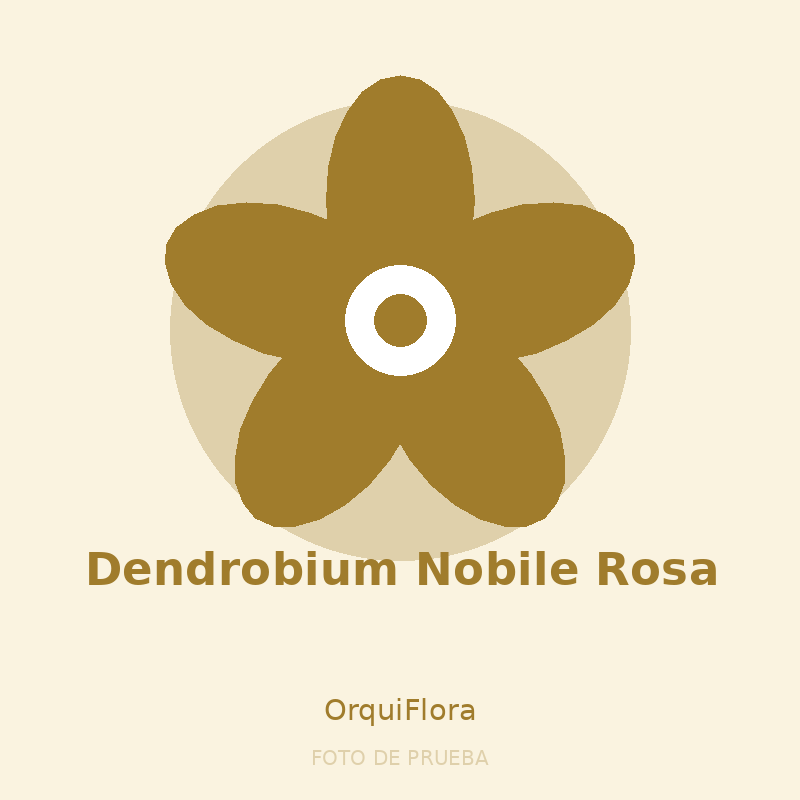 Dendrobium Nobile Rosa