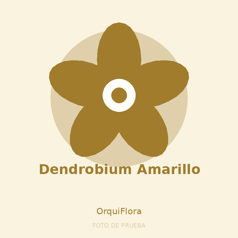 Dendrobium Amarillo