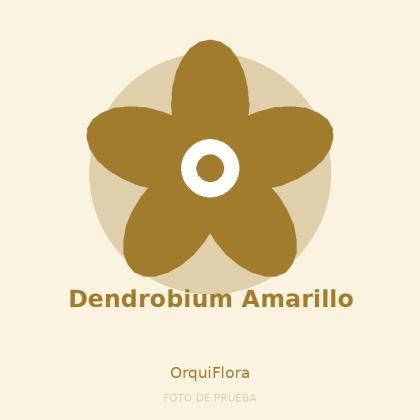 Dendrobium Amarillo