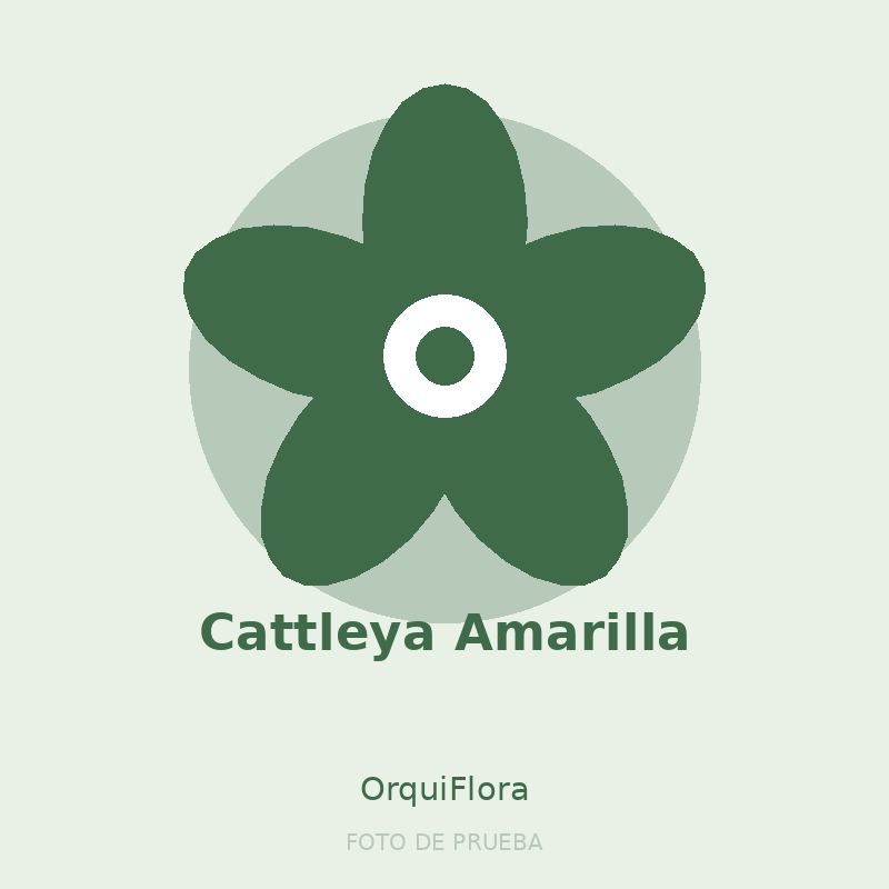 Cattleya Amarilla