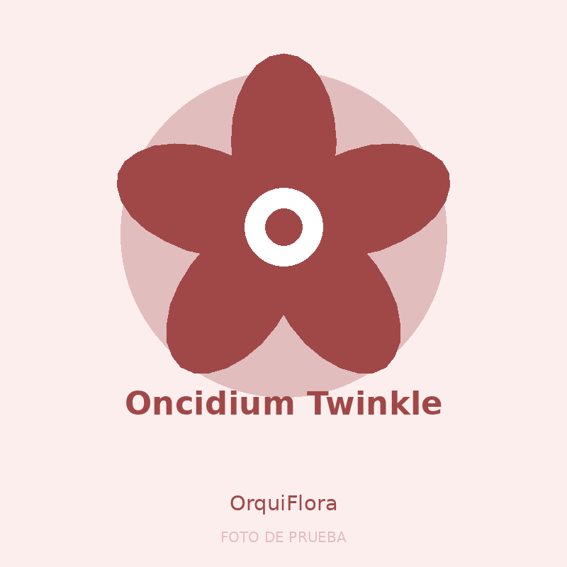Oncidium Twinkle