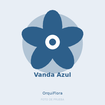 Vanda Azul