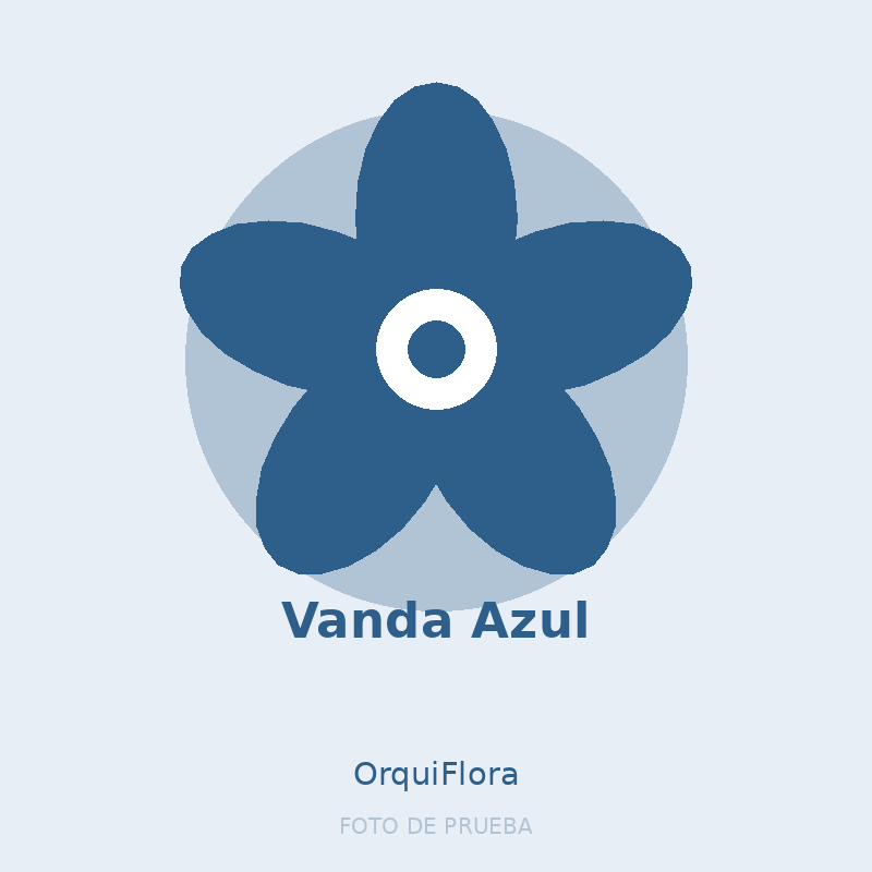 Vanda Azul