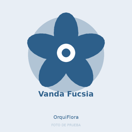 Vanda Fucsia