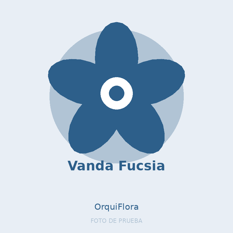 Vanda Fucsia