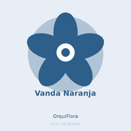 Vanda Naranja