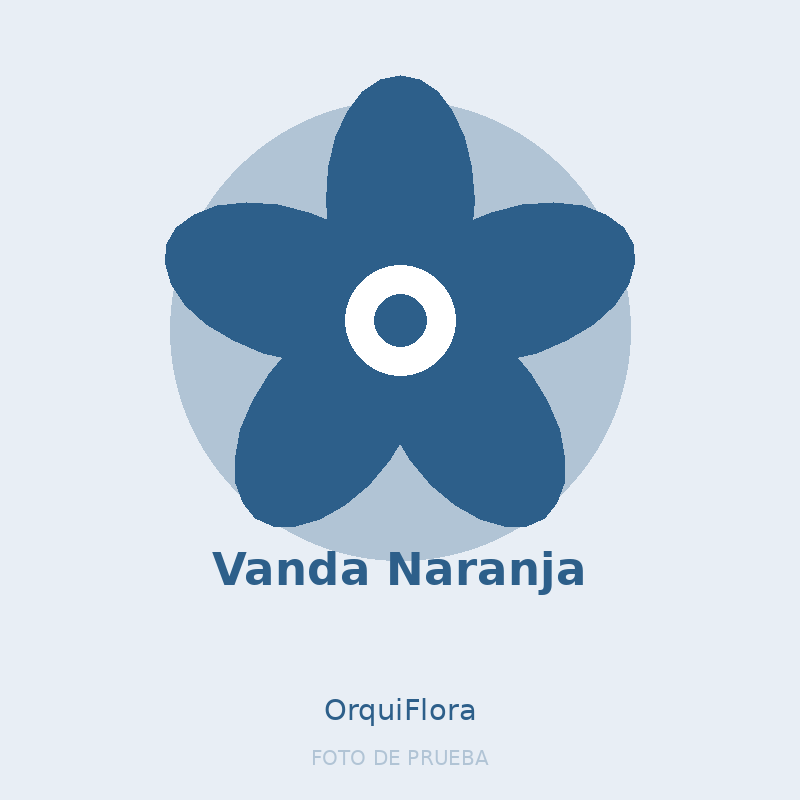 Vanda Naranja