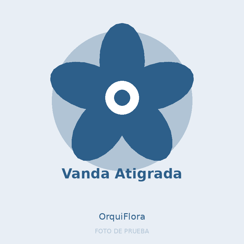 Vanda Atigrada