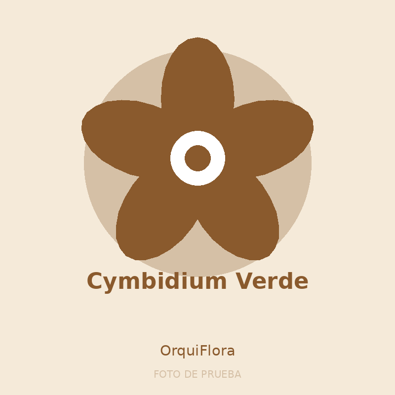 Cymbidium Verde
