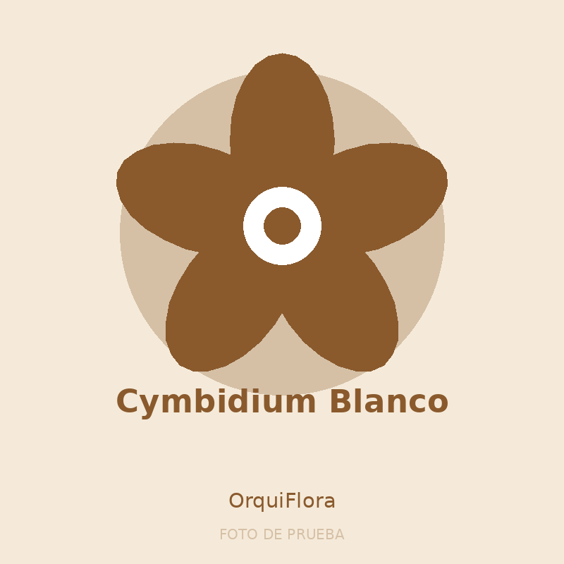 Cymbidium Blanco