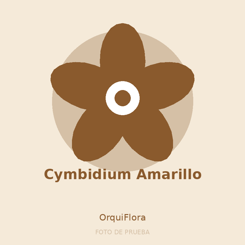 Cymbidium Amarillo