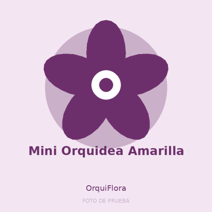 Mini Orquidea Amarilla