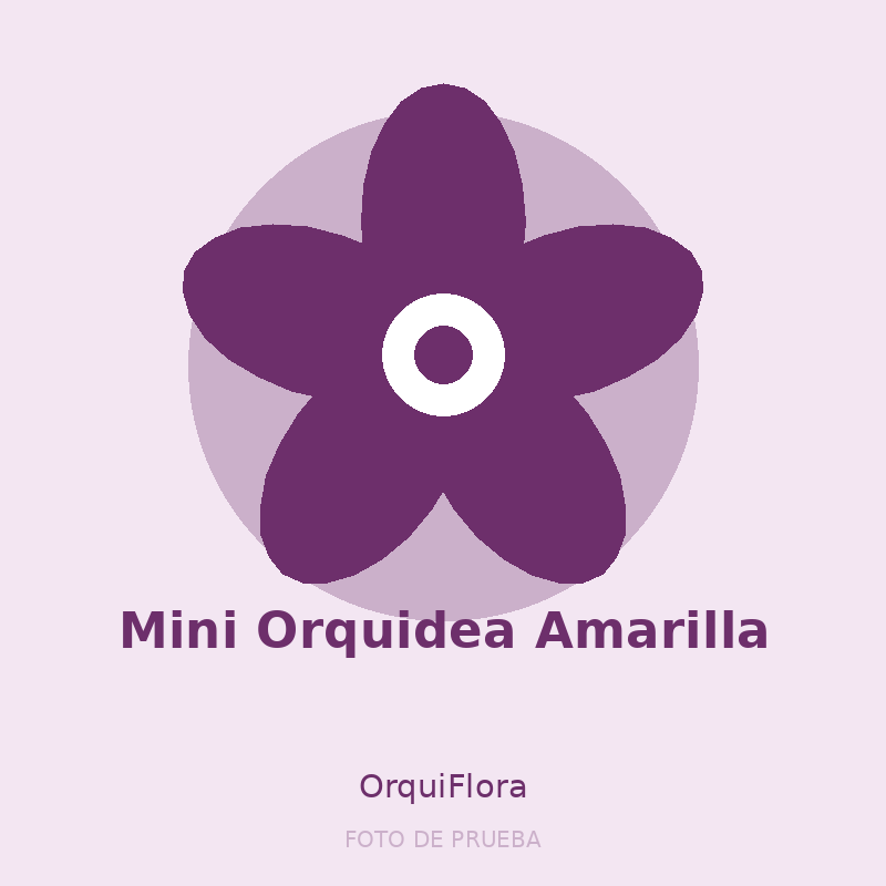 Mini Orquidea Amarilla