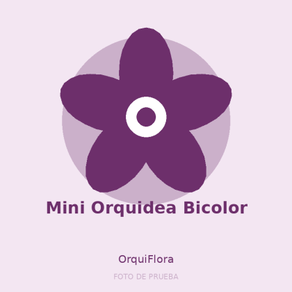 Mini Orquidea Bicolor