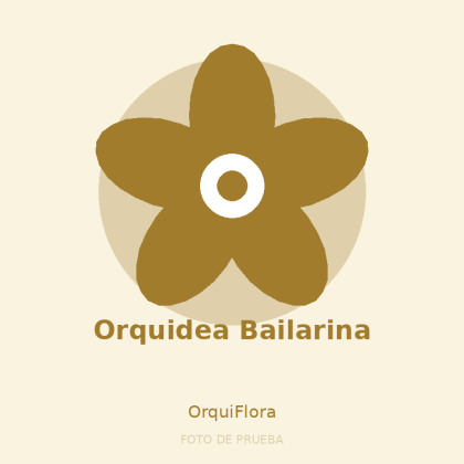 Orquidea Bailarina