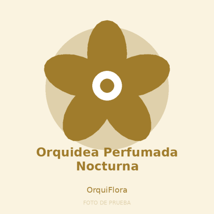 Orquidea Perfumada Nocturna