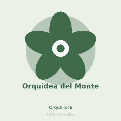 Orquidea del Monte