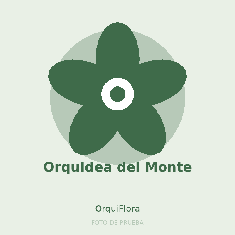 Orquidea del Monte