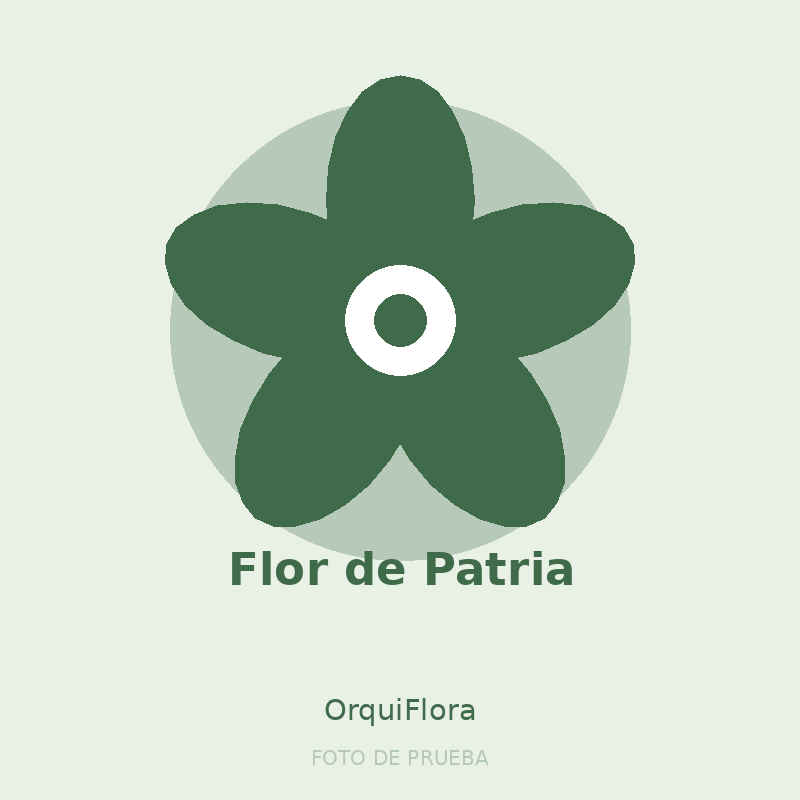 Flor de Patria