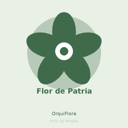 Flor de Patria