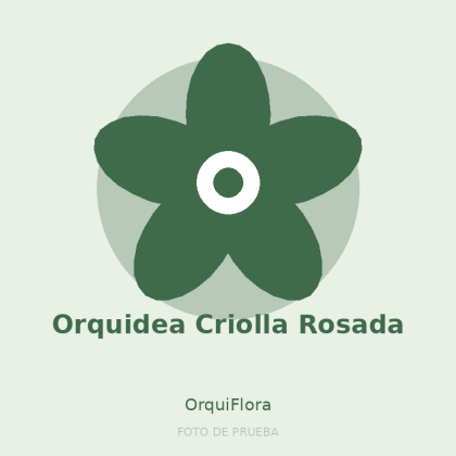 Orquidea Criolla Rosada