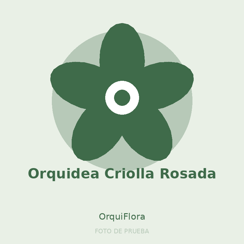 Orquidea Criolla Rosada