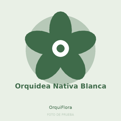 Orquidea Nativa Blanca