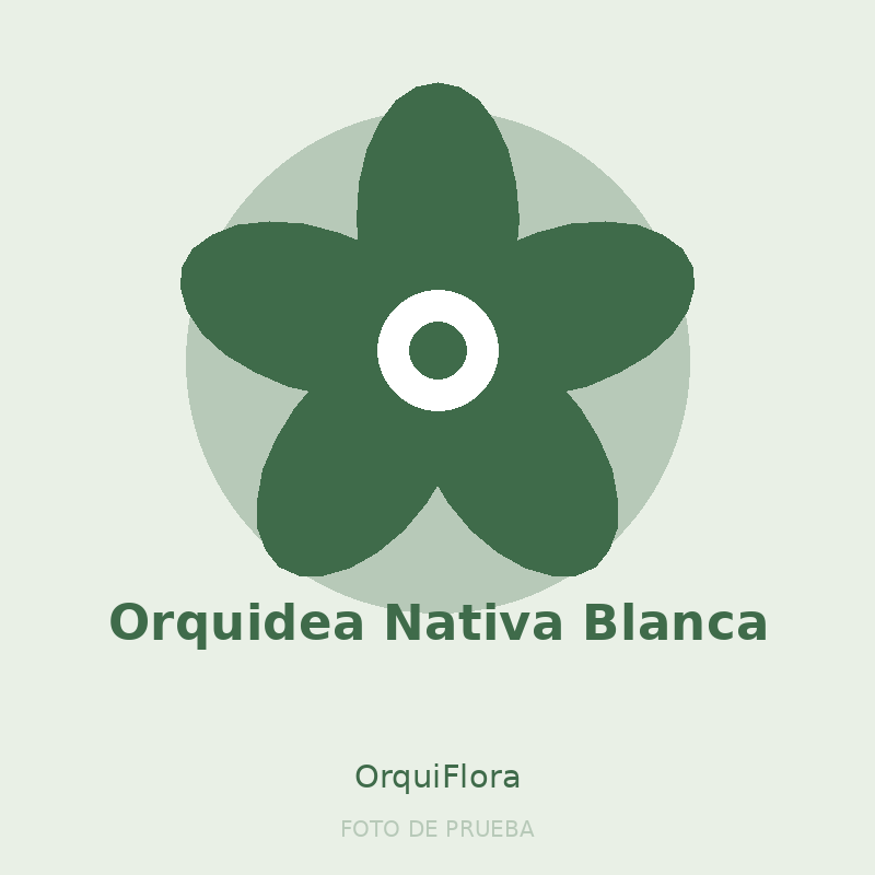 Orquidea Nativa Blanca