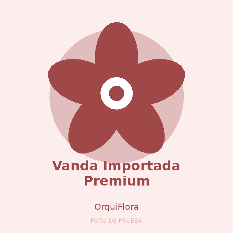 Vanda Importada Premium