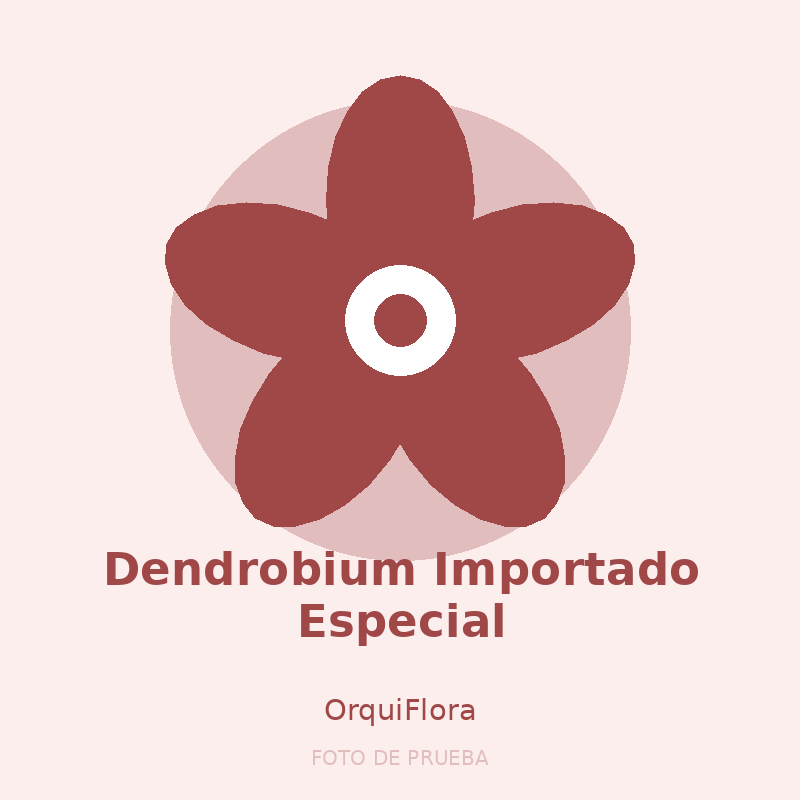 Dendrobium Importado Especial