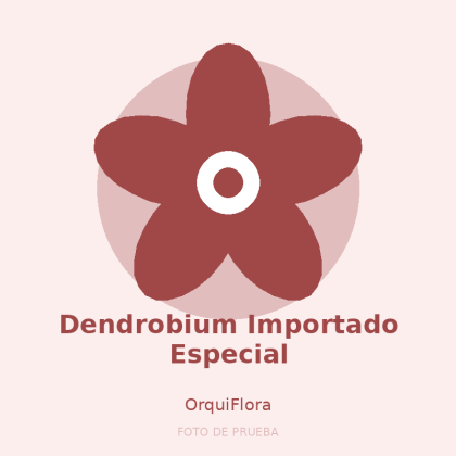 Dendrobium Importado Especial