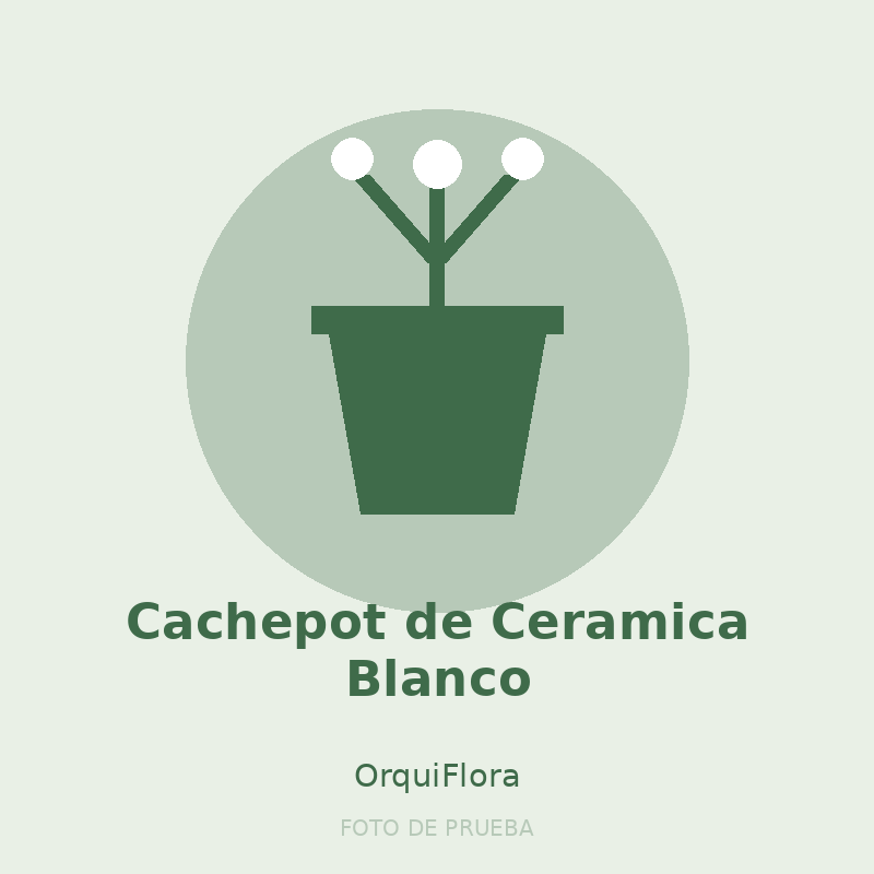 Cachepot de Ceramica Blanco